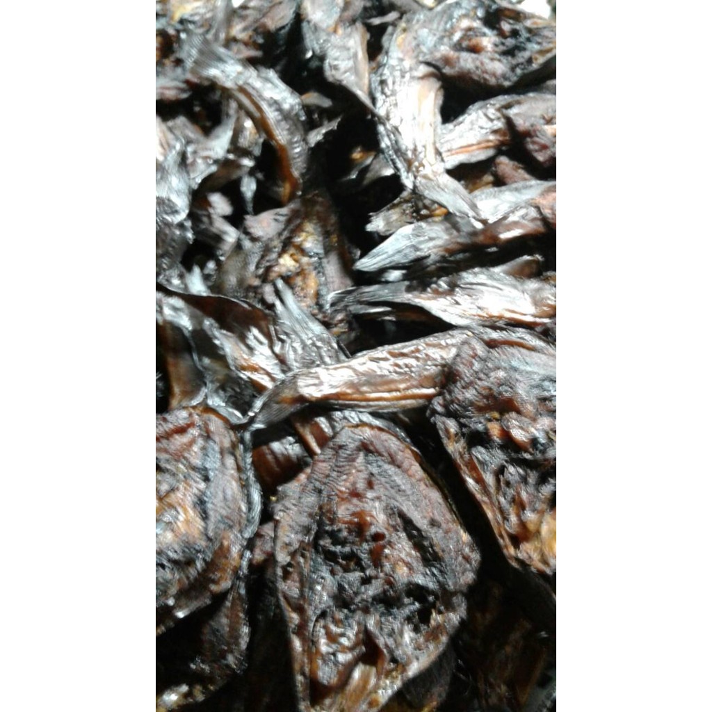 

IKAN SALE (IKAN ASAP)
