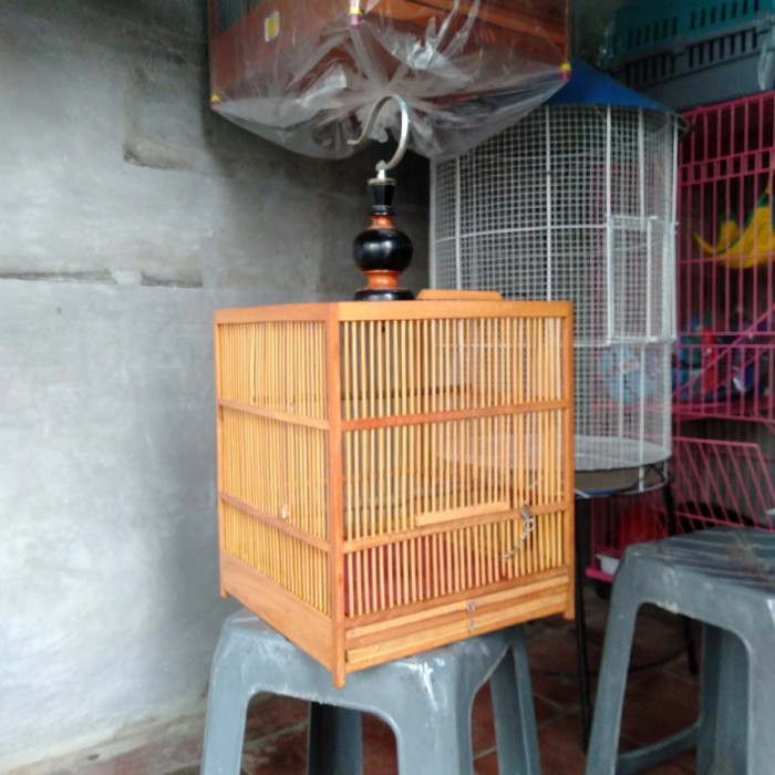 SANGKAR BURUNG PENJINAKAN WAMBIE.