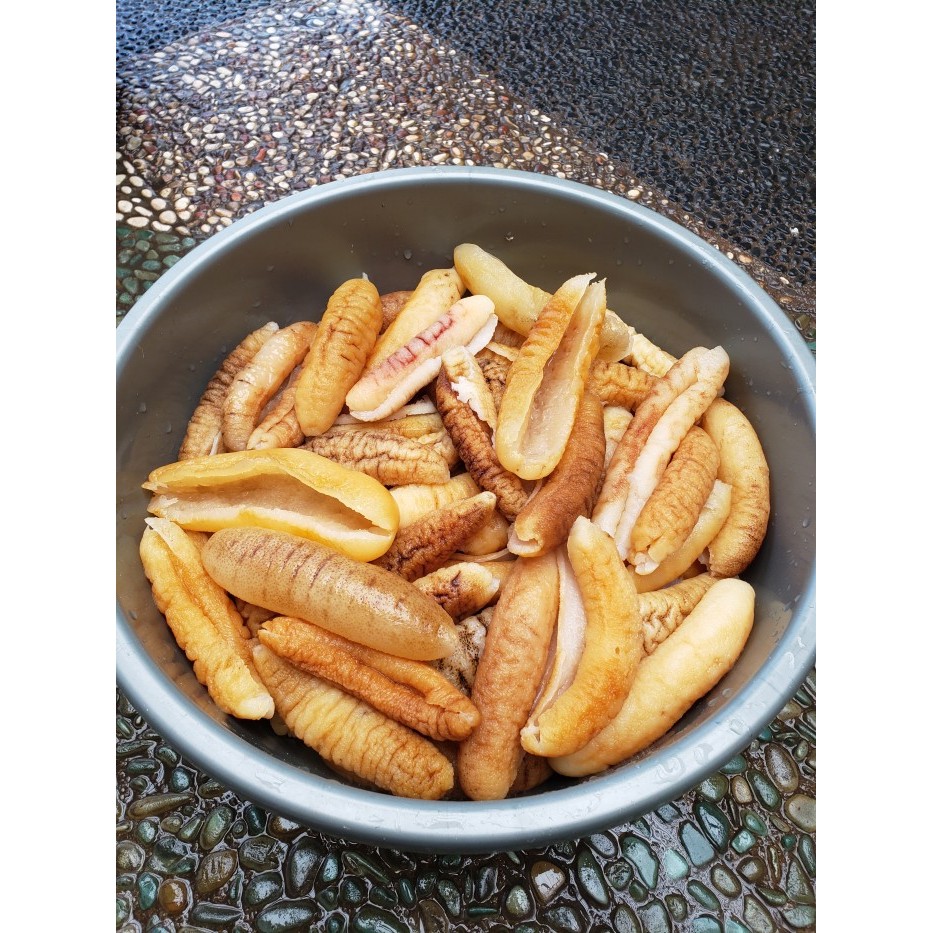 

TERIPANG HAISOM GOSOK SPESIAL 1KG BANGKA BELITUNG BASAH HOISEM TRIPANG