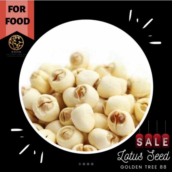 

(1,2KG) PREMIUM LOTUS SEED LIAN ZHI BIJI TERATAI FRESH ORI TIONGKOK