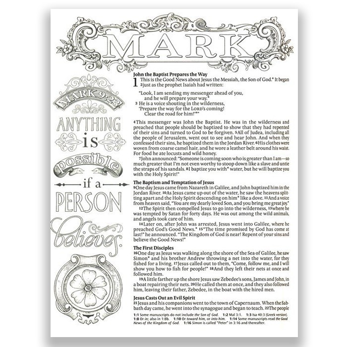 Nlt Inspire Bible: The Bible For Coloring & Creative Journaling--Sc