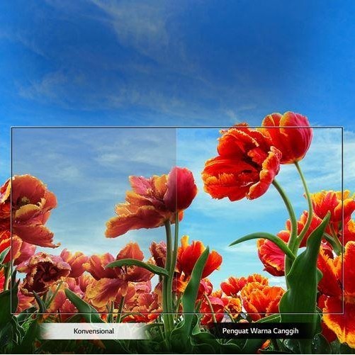 Tv Lg 32Lm550 Led Tv 32 Inch Digital Tv