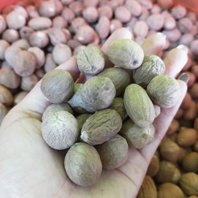 

Biji Pala Bulat 1000Gram 1KG Kilo / Nutmeg Whole Asli dan Fresh