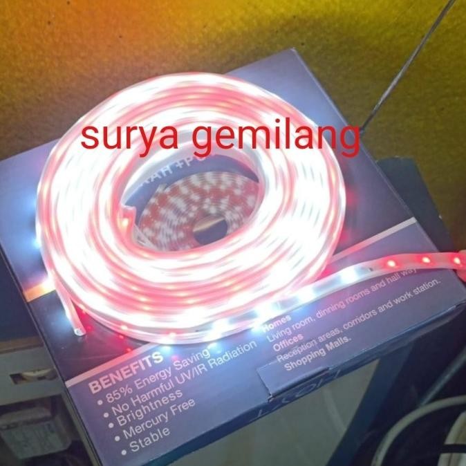 Sale Lampu Led Selang Merah Putih 7Meter 7M. Led Selang Merah Putih Kelap Kelip. Lampu Led Selang Ou