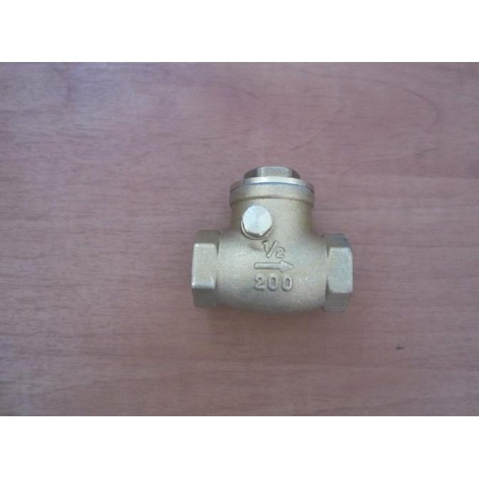 *:*:*:*:*] Check Valve 1/2