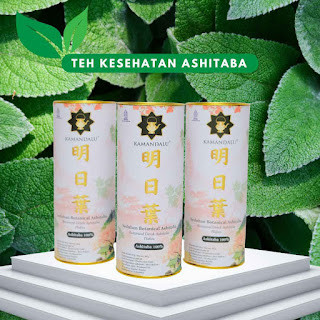 

Teh Ashitaba Terbaik - Khasiat Hebat untuk Imunitas Tubuh- Herbal Terbaik