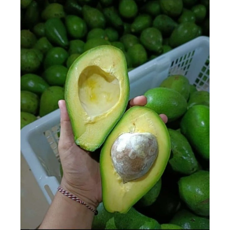 

Alpukat mentega super