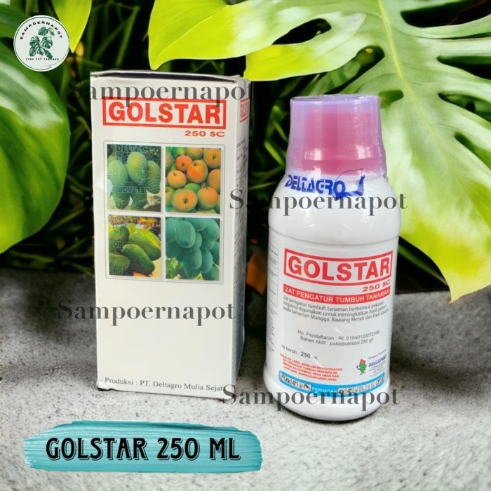 GOLSTAR 250 SC PUPUK ZPT VITAMIN BUAH 250 ML - GOLSTAR 250 ML BESAR
