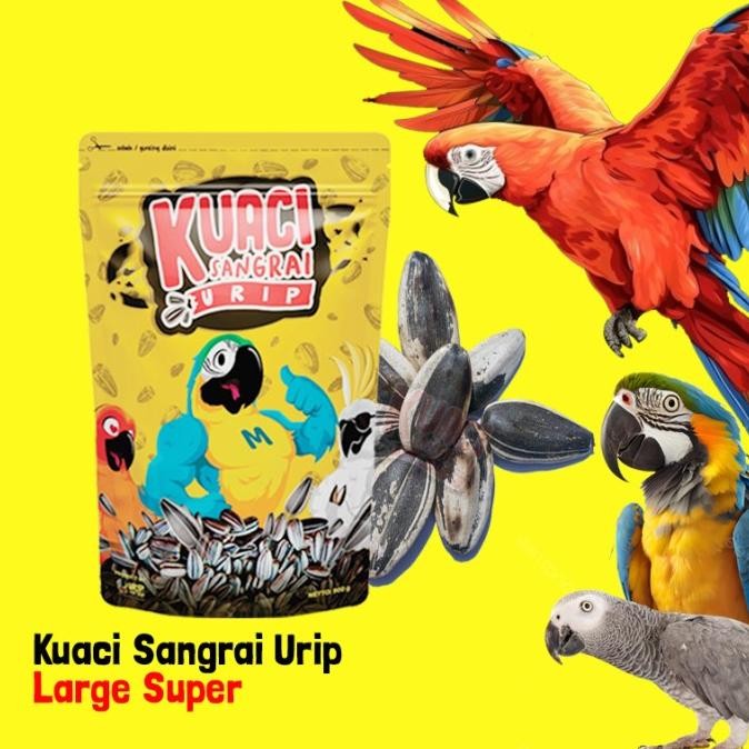Kuaci Sangrai Super Jumbo Untuk Burung Kakatua Macaw Afgrey Amazon
