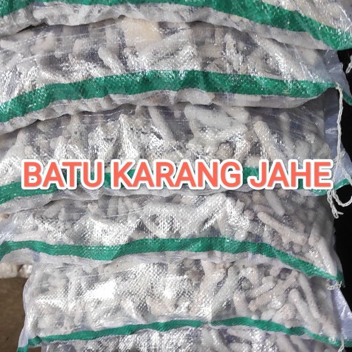 

TERLENGKAP Batu Alam Karang Jahe Media Aquarium Filter Kemasan Karungan