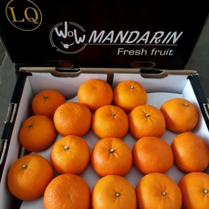 

SALE! JERUK MANDARIN FRESH