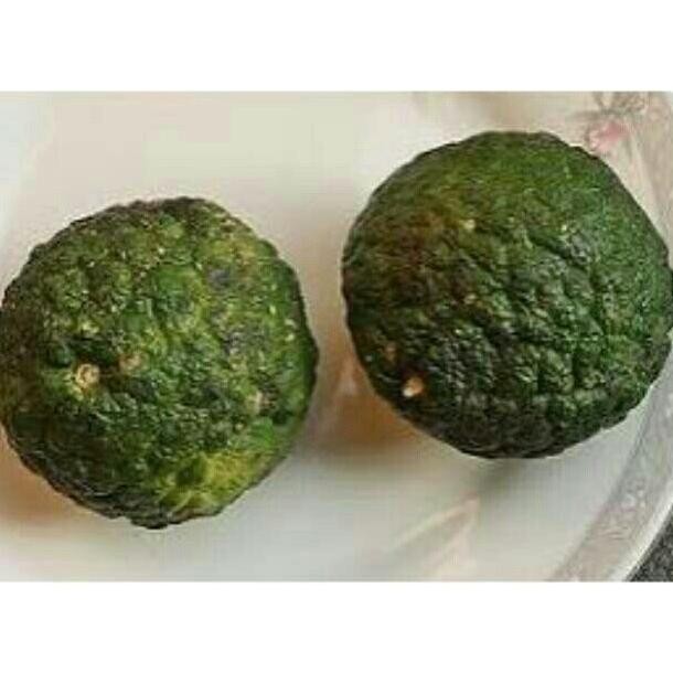 

SALE! ASAM JUNGGA / JERUK JUNGGA