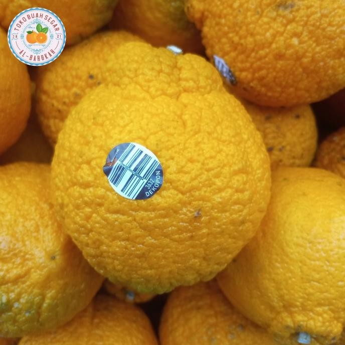 

SALE! JERUK DEKOPON AUSTRALIA FRESH PER 1 KG