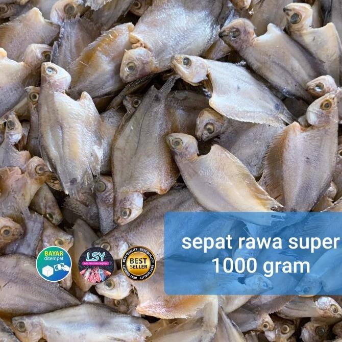 

ori - ikan asin sepat rawa 1000gram