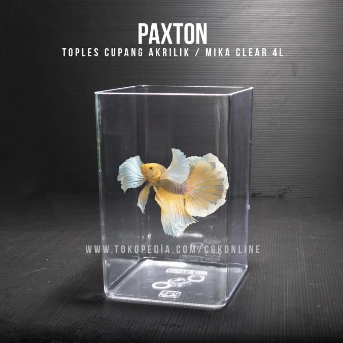 Toples Cupang 4 Liter Paxton / Toples Akrilik Mika 4L