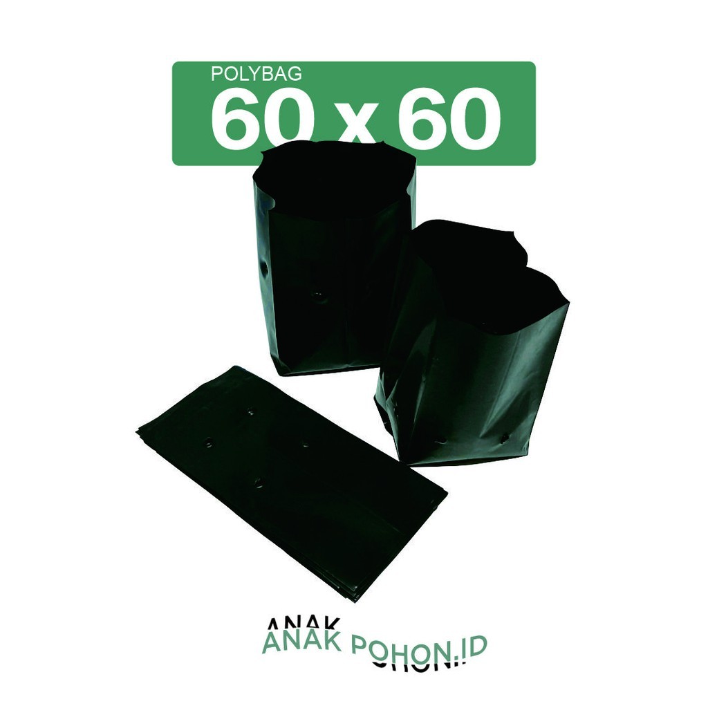 Polybag Polibag Plastik Ukuran 60 x 60 cm - Kualitas Premium Tebal R8E101