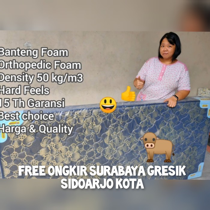 Kasur Busa Orthopedic Super Hard Foam Rebonded 90 X 200 Banteng Gmw