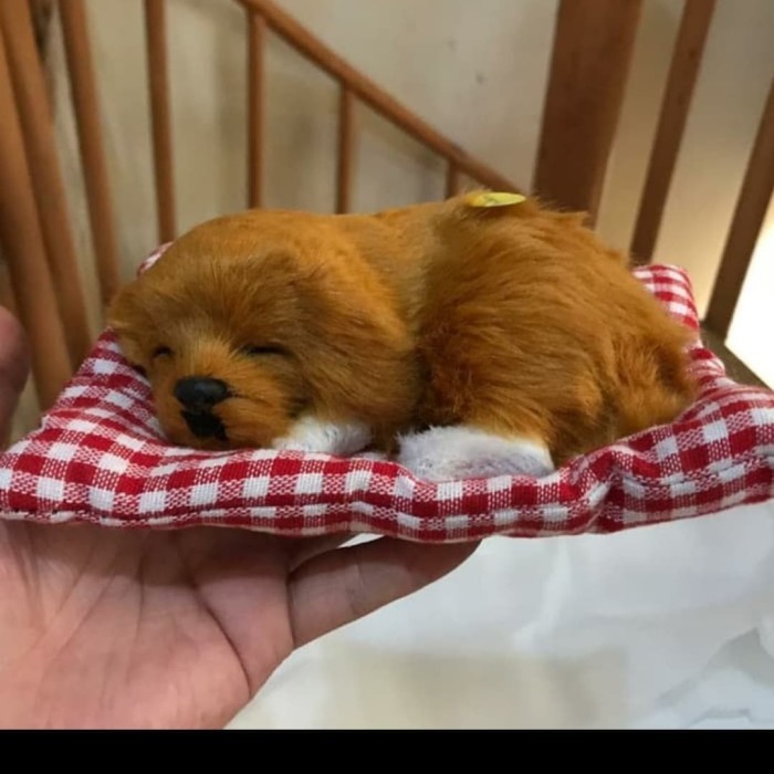 

BONEKA ANJING DENGAN SUARA BUAT PAJANGAN DAN MAINAN ANAK