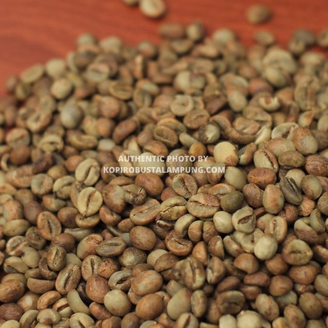 

Green Bean Robusta Lampung Petik Merah - Natural Process