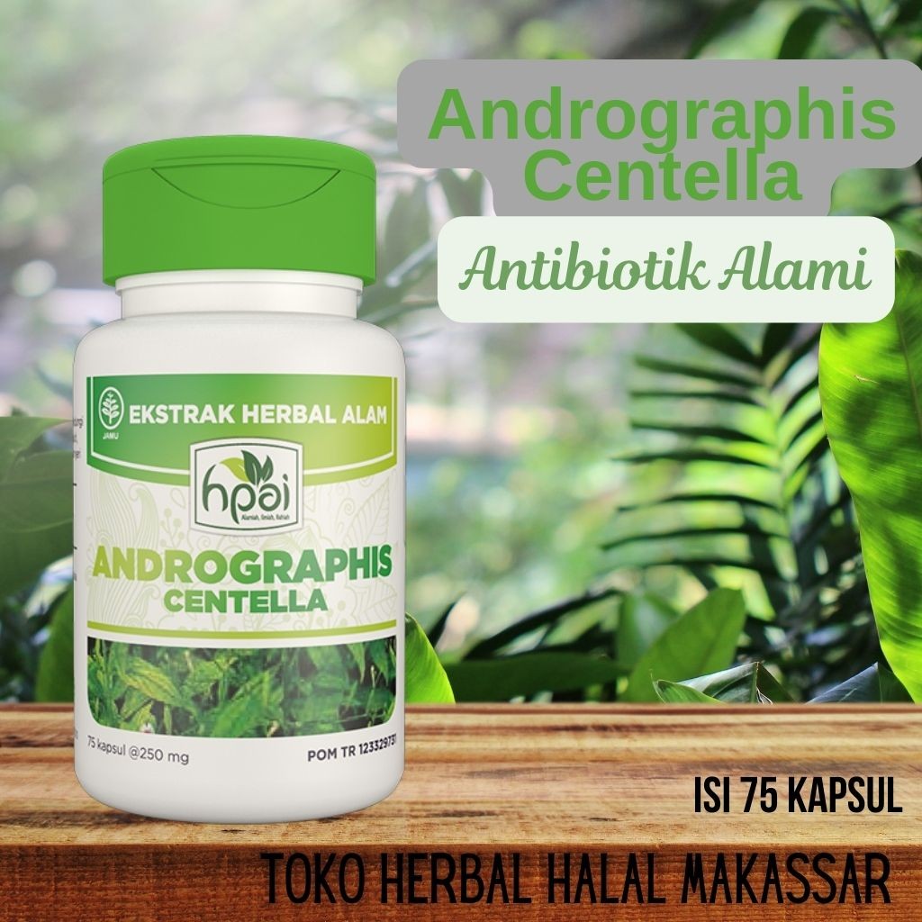 

Andrographis Centella HNI HPAI isi 75 kapsul Herbal antibiotik alami dan penurun demam