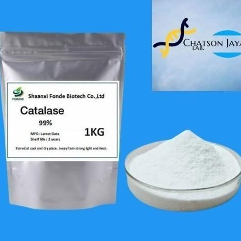 

Powder Katalase Enzim 50 gram 99% / Powder Catalase 50 gram