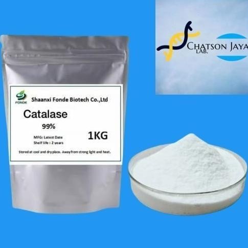 

Powder Katalase Enzim 40 gram 99% / Powder Catalase 40 gram