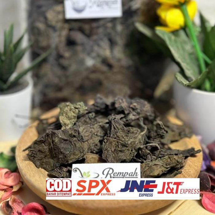 

Promo Daun Ungu Kering Obat Wasir Ambein 50 Gram Rempah Bu Risma Daun Herbal Premium