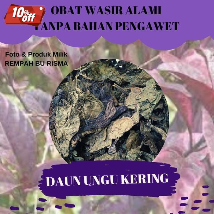 

Termurah Daun Ungu Kering Obat Wasir Ambein 50 Gram Rempah Bu Risma Daun Herbal Asli Kalimantan