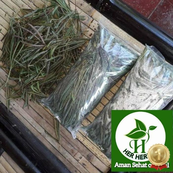 

Paling Laris Daun Putri Malu Segar Daun Herbal Segar