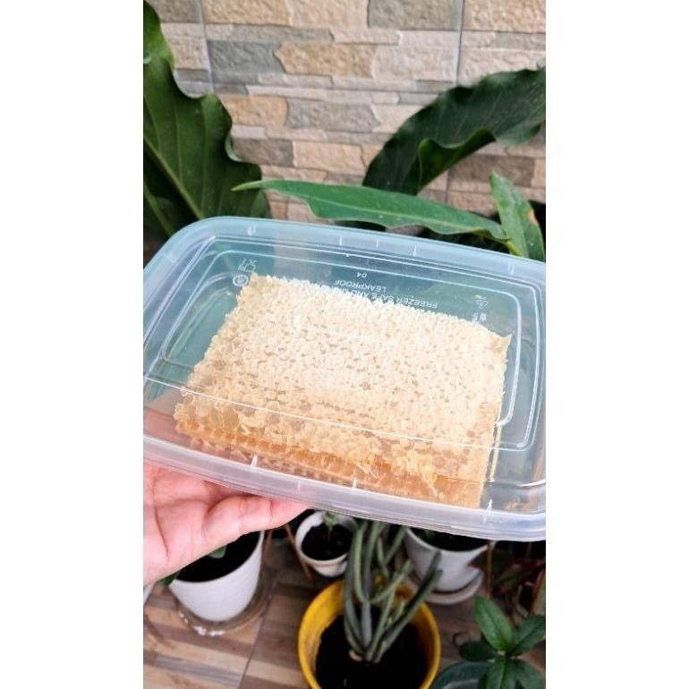 

Ori [500Gr] Madu Sarang Melifera Premium Asli Grosir