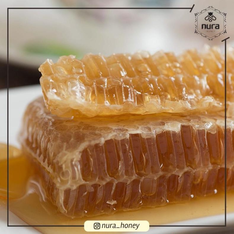 

Ori Best Seller! Sarang Madu Nura Melifera 250Gr - 300Gr / Madu Asli Murni Mentah/ Nurahoney / Nura Honey / Nura Honeycomb Premium