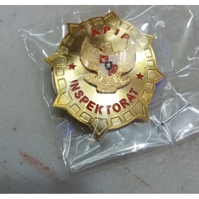 PIN APIP INSPEKTORAT