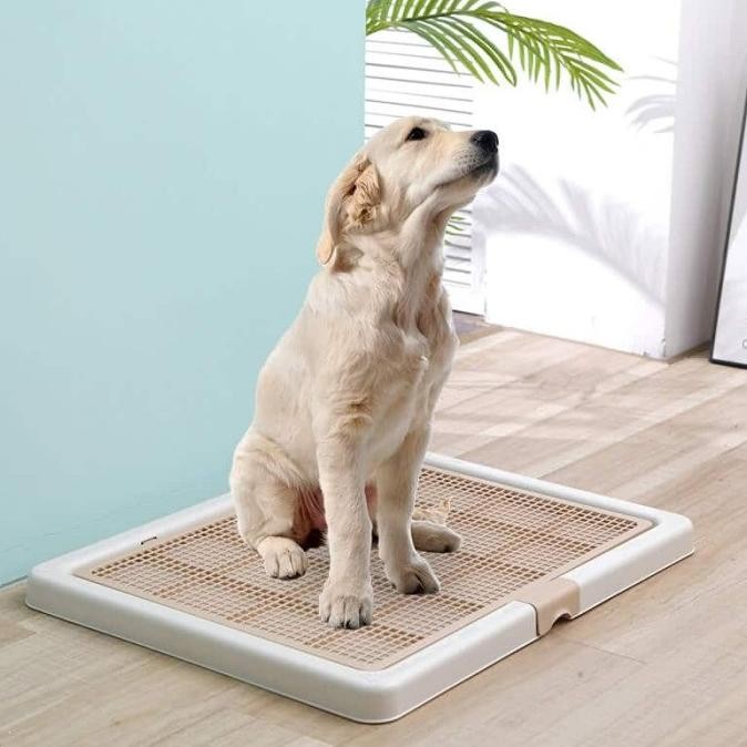 Pet Toilet Training Dog Large - Tempat Pipis Poop - Pee Tray Dog L