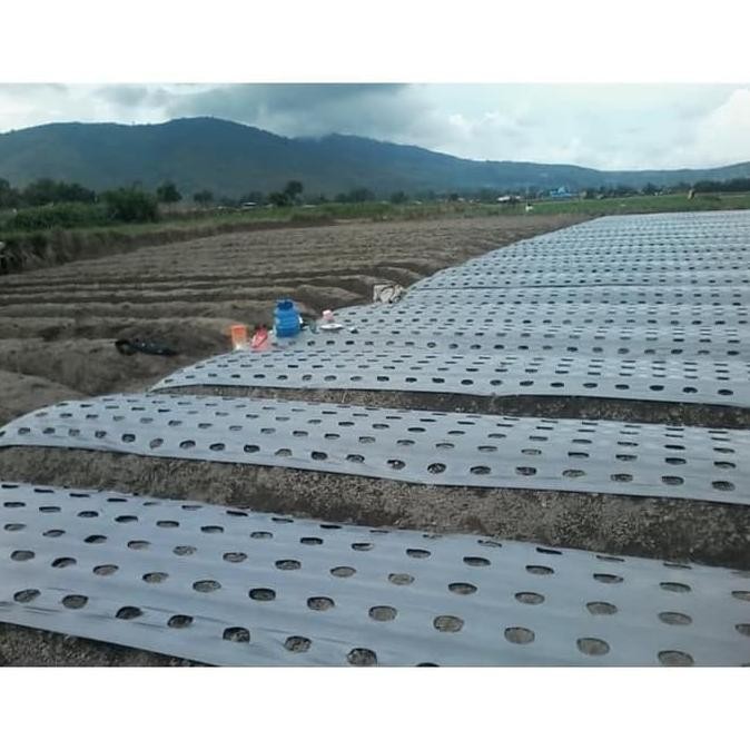 Promo Viral Plastik Mulsa 1 Roll Lebar 160 Cm Plastik Pertanian Hitam Perak Dvc-78