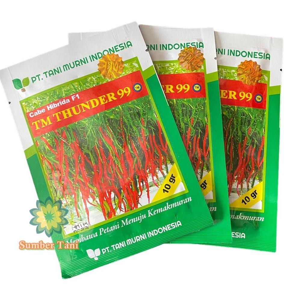 Diskon Viral Benih Cabe Kriting Tm Thunder 99 Cabe Hibrida F1 Benih Cabai Gh-6