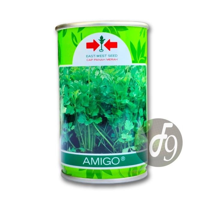 BENIH BIBIT SELEDRI AMIGO CAP PANAH MERAH 50 GRAM KALENG 0310T
