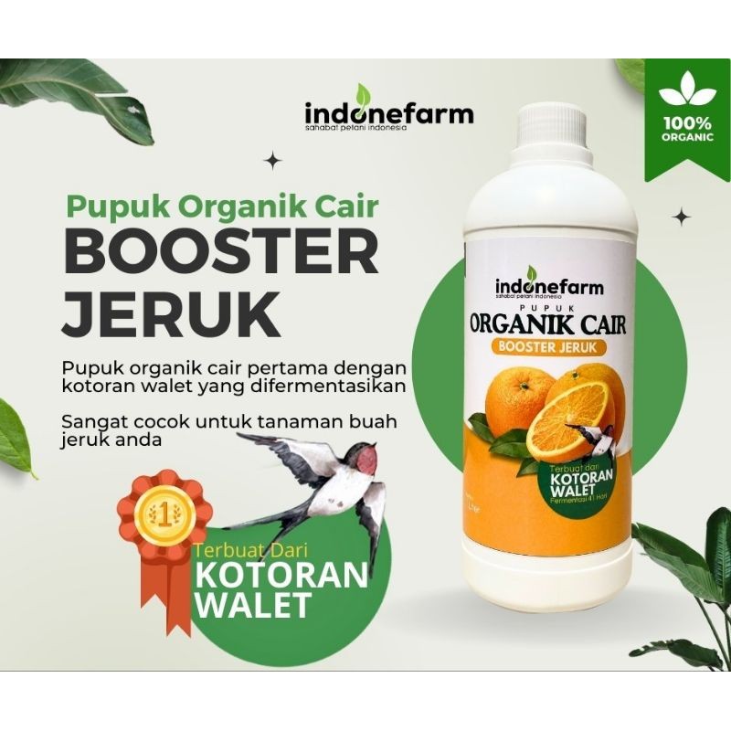 PUPUK KOTORAN WALET | COR ORGANIK BUAH JERUK | Terbuat Dari Kotoran Walet Asli | Fermentasi 41 Hari