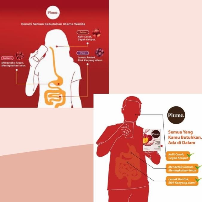 PLUME HIGH-FIBER DRINK + COLLAGEN Original PELANGSING ALAMI DETOX DIET