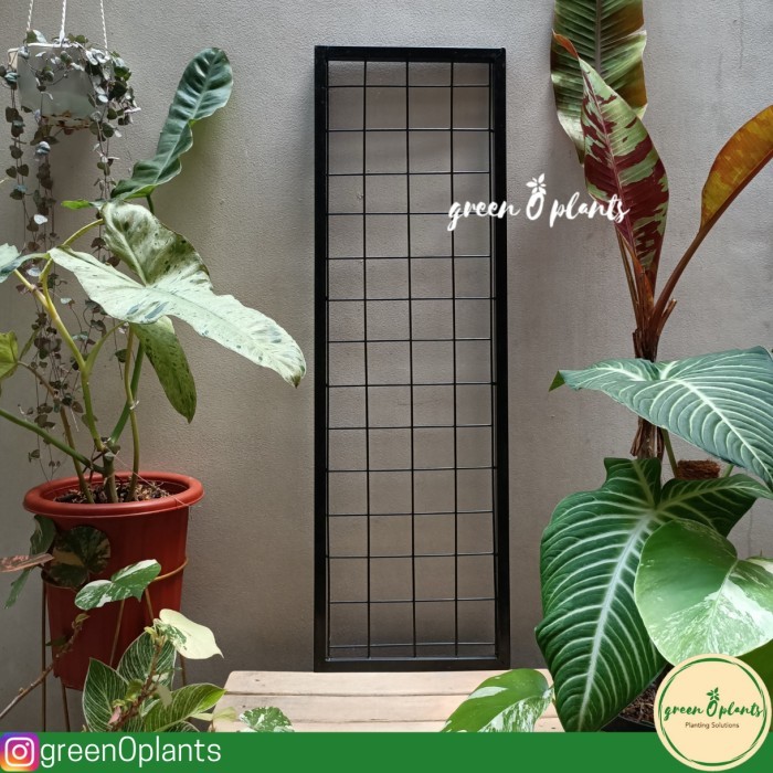 RAK VERTICAL GARDEN 80CMX25CM