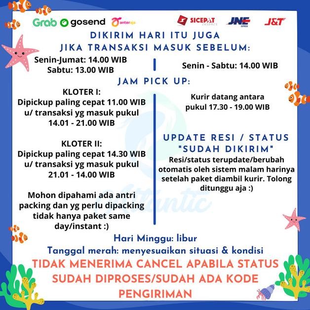 Lion Lp 2400 Pompa Kolam Air Mancur Submersible Pump Fresh & Sea Water