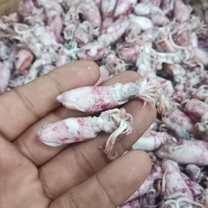 

ikan asin cumi baby 1kg