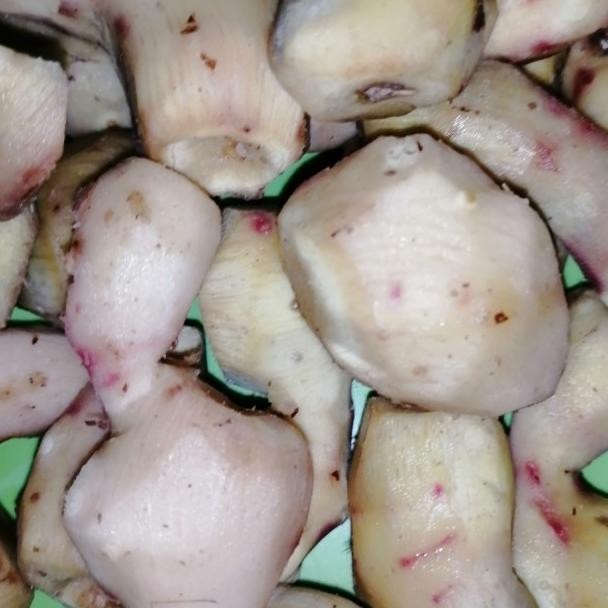 

Jahe Merah Kupas (Siap Konsumsi) 1 Kg