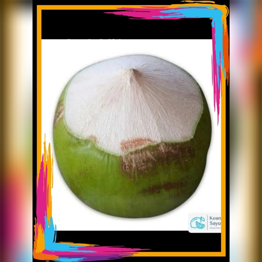 

kelapa muda