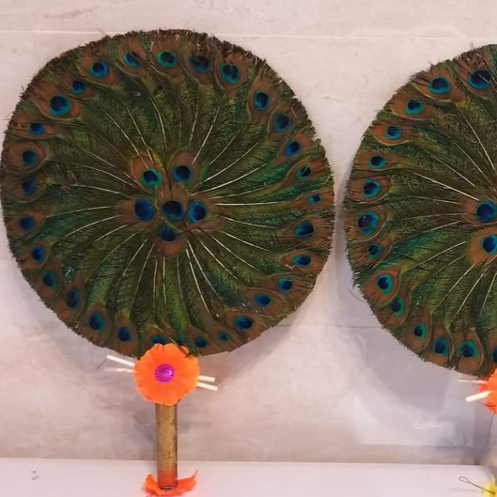 {{{{}}] kipas merak india