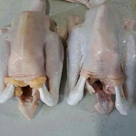 

Ayam Kampung Muda Hidup Potong Dadakan 1 Ekor Segar Fresh