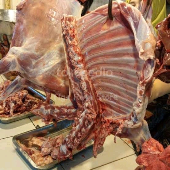

Tulang Rusuk Kambing Fresh 500Gr