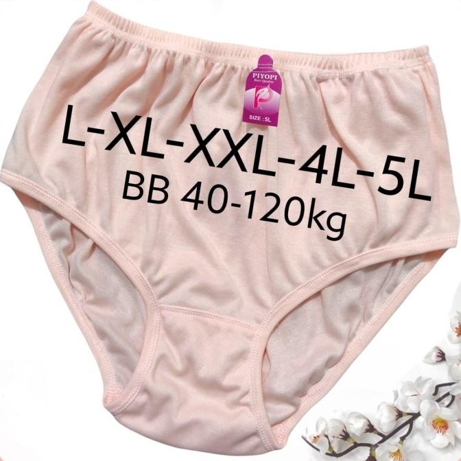 Celana Dalam Wanita 6Pcs Jumbo Cd Wanita Jumbo Cd Bumil Celana Dalam
