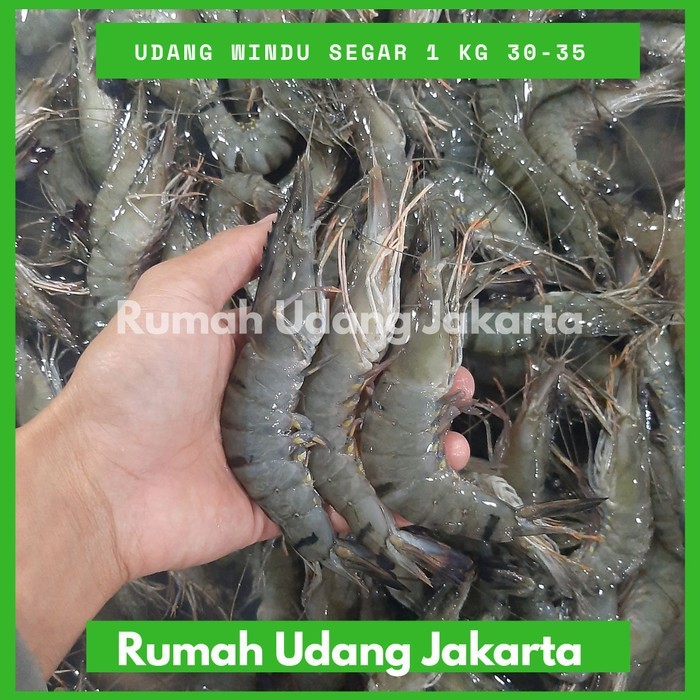 

Udang Windu Pancet Besar Fresh 1 Kg/ Isi 30-35 Udang Black Tiger