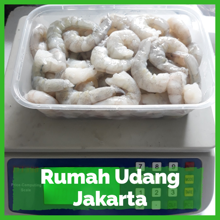 

Udang Kupas Segar Tanpa Glazing 500 Gr/Udang Kupas Bersih Segar