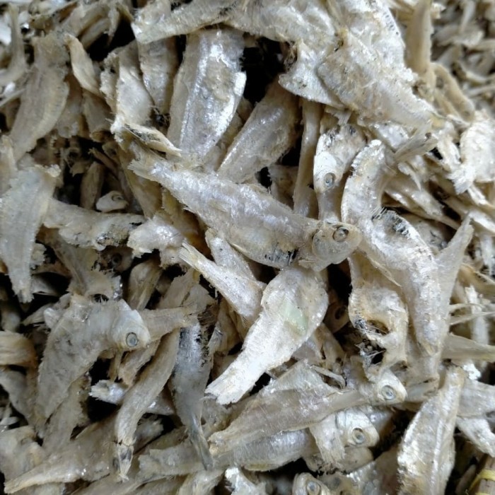 

Ikan Hase Hase/ Ikan Kresek 1 Kg